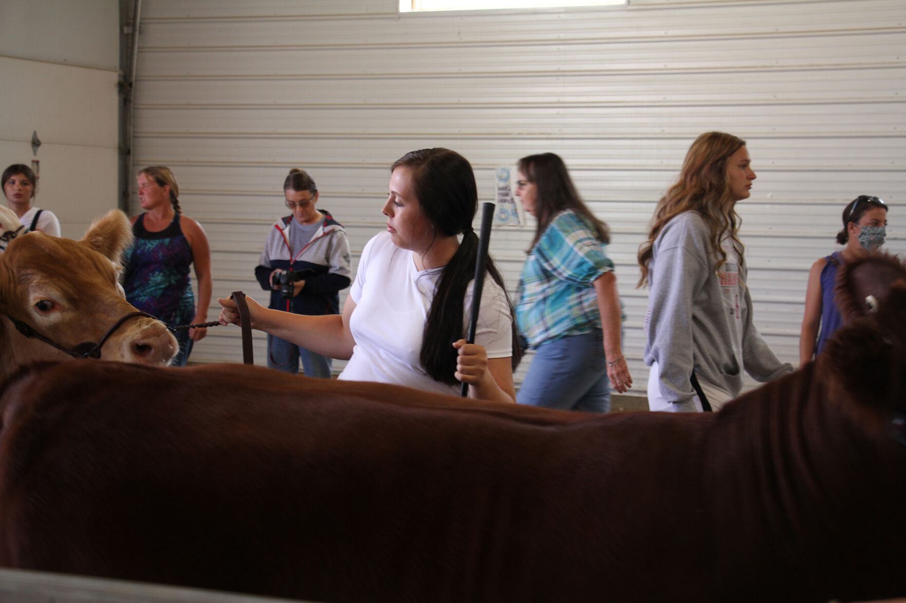 PHOTOS: More from the Scotts Bluff County Fair 2020